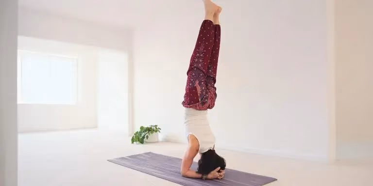 Yogalehrer Ausbildung YOGINATUR & YOGA VIDYA (BYV)