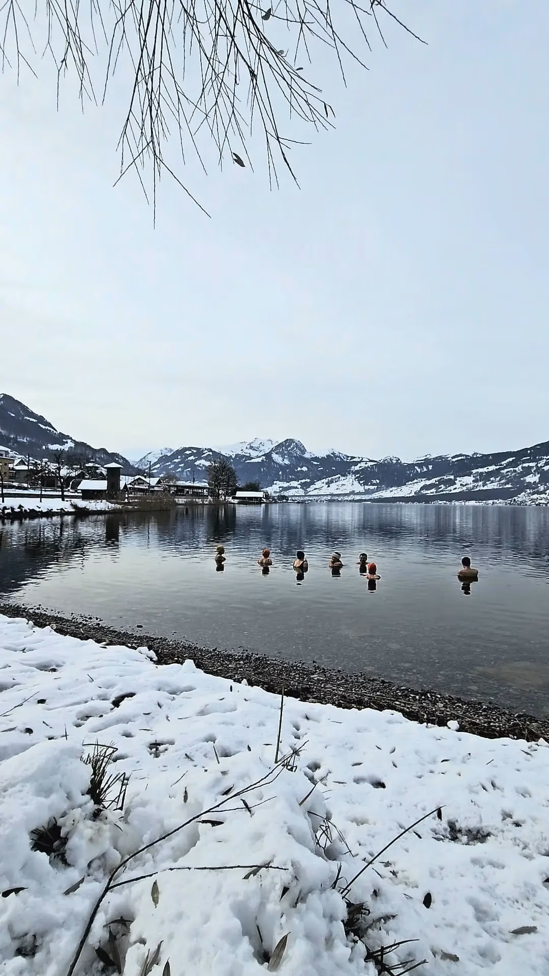 Workshop di Bagno nel Ghiaccio Sarnersee
