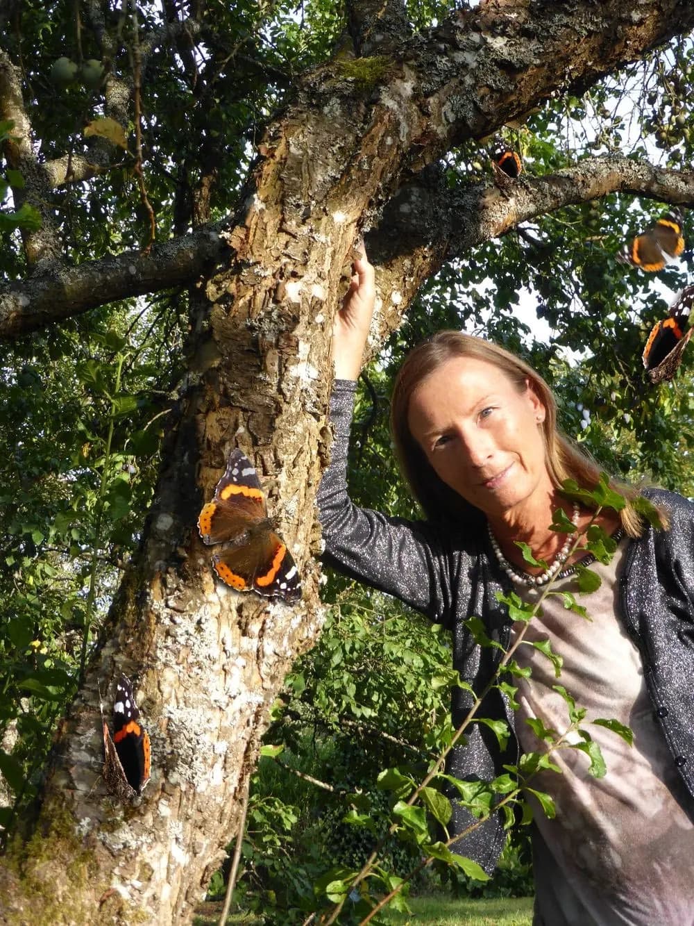 Reikischule Schwarzwald – Naturheilpraxis 2