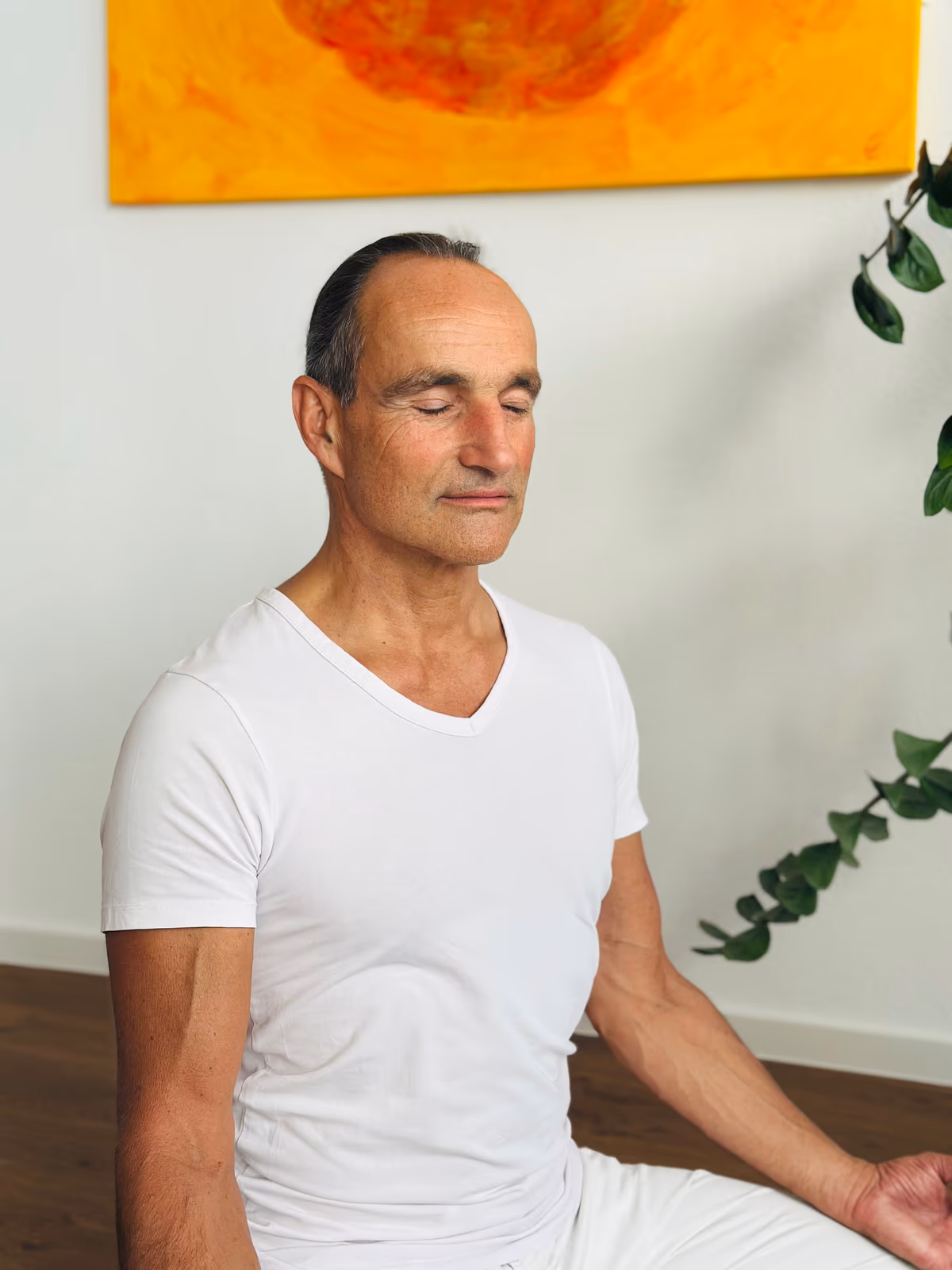 Yoga Vidya Zentrum Waldshut Tiengen 5